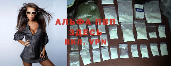 mdpv Гусев