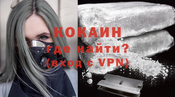 твердый Дмитриев