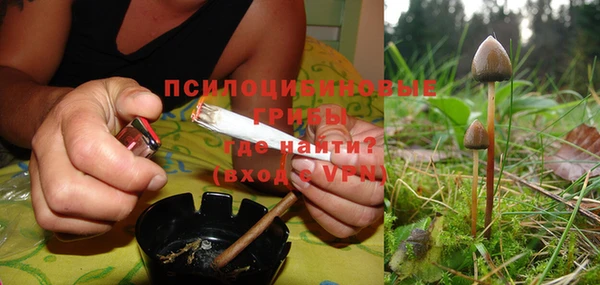 твердый Дмитриев